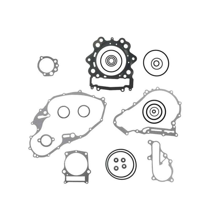 Kompletter Dichtungssatz for Raptor 700 inkl. Ventildichtungen 2006-2014 von QXYSLHKC