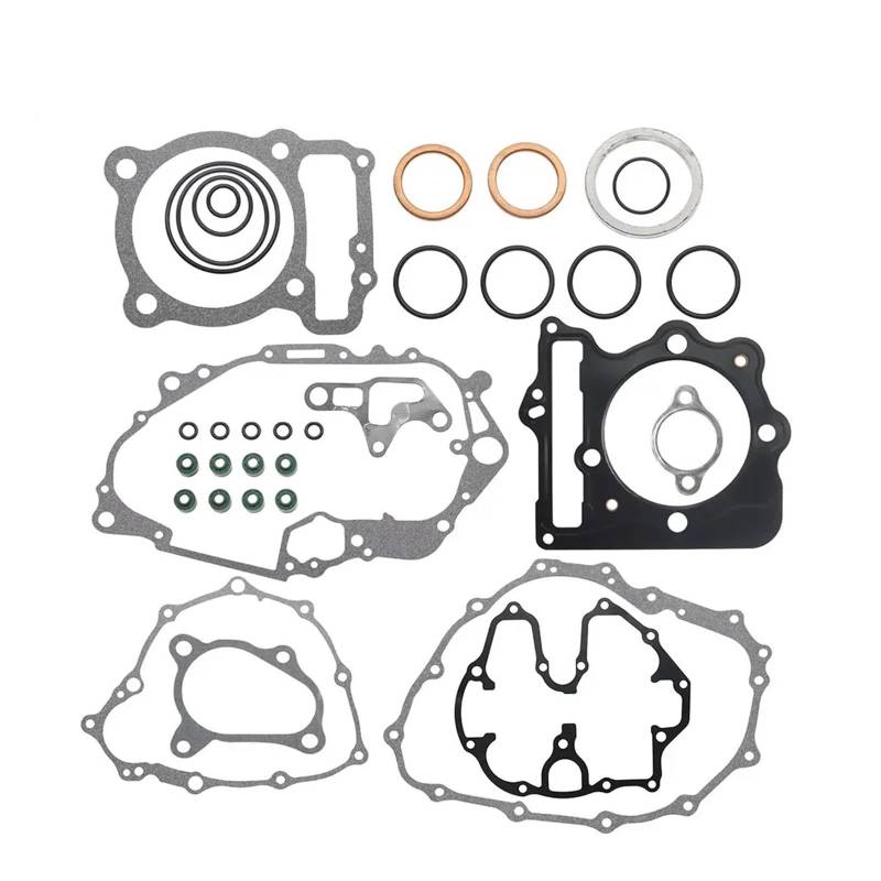 Kompletter Dichtungssatz for TRX400EX XR400R 1996 1997 1998 1999 2000 2001 2002 2003 2004 von QXYSLHKC