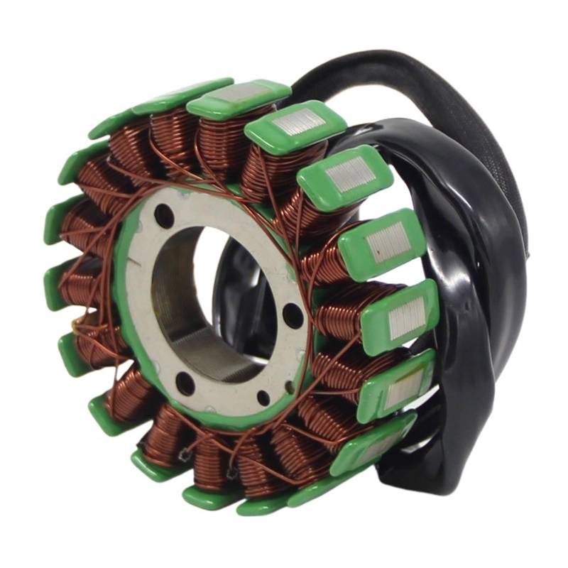Motorrad Magneto Motor Stator Generator Zündspule for S500 GS500F GS500H 31401-01D10 Go Bike Schnee Moped Moto von QXYSLHKC