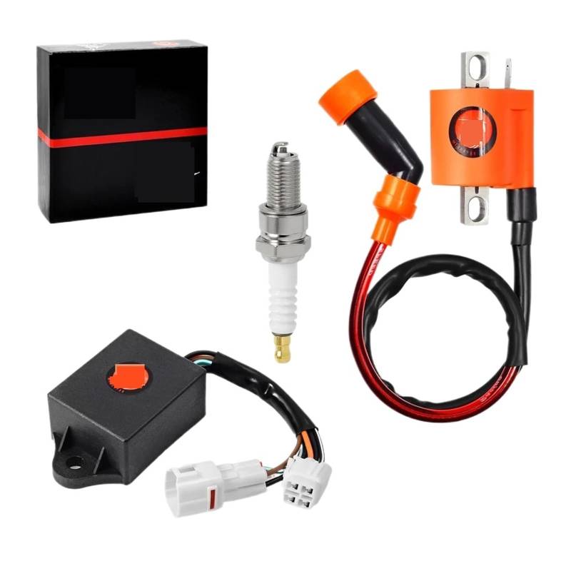 Zünder Zündspule for Timberwolf 250 FB250 FW 4x4 1994-2000 Tracker 250 FM250 1999-2000 4BD-85540-10-00 von QXYSLHKC