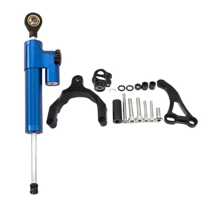 Motorrad Lenkungsdämpfer FÜR GSXS 750 FÜR GSX-S 750 FÜR GSX S750 FÜR GSXS750 2017-2023 CNC Carbon Lenkungsdämpfer Halterung Unterstützung Stabilisator Lenkungsdämpfer von QmeNa