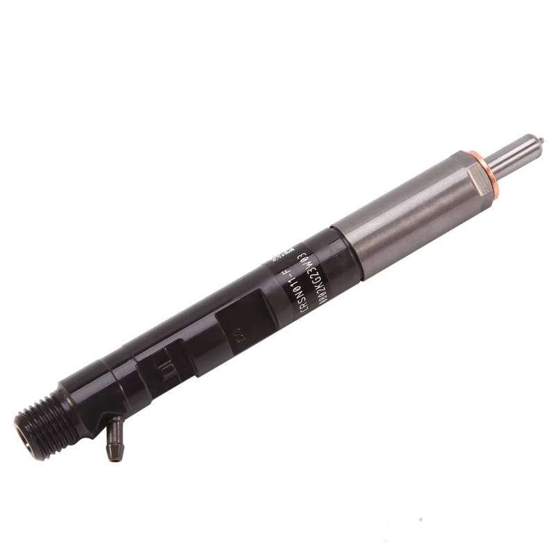 Qsnfda Auto Einspritzdüse Für Clio III 2005/06-2012/12 Für Megane II 2005/05-2008/02 H8200421897 Diesel Kraftstoff Injektor Düse Auto Einspritzventil(EJBR05201D) von Qsnfda