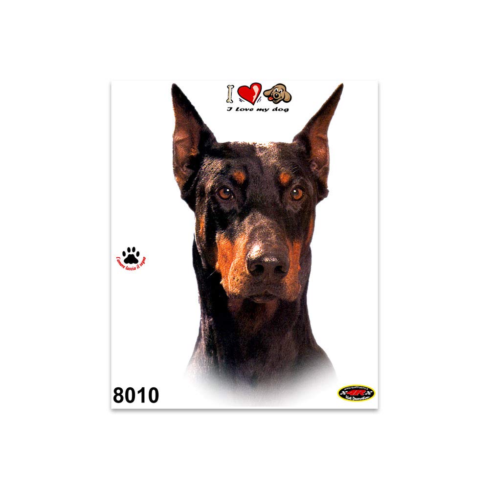 4R Quattroerre.it 8010 Sticker Aufkleber Hund Dobermann, 13.5 x 16 cm von 4R Quattroerre.it