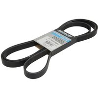 Keilrippenriemen QUICKSILVER 57-865615Q03 von Quicksilver