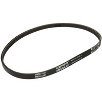 Keilrippenriemen QUICKSILVER 57-8M0031641 von Quicksilver