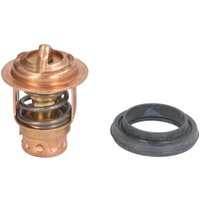 Thermostat QUICKSILVER 14586A3 von Quicksilver