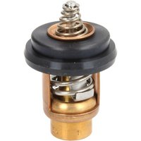 Thermostat QUICKSILVER 804540 von Quicksilver