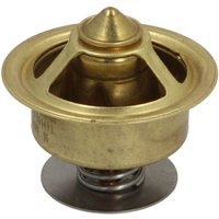 Thermostat QUICKSILVER QS864493 von Quicksilver