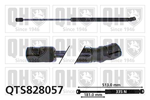 QUINTON HAZELL QTS828057 Motorhauben QUINTON HAZELL QTS828057 Motorhauben von Quinton Hazell