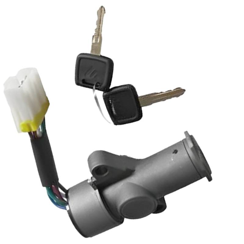 Quueparts 1-79138199-4 1791381994 Auto Schließzylinder Set Kompatibel mit Isuzu Motor 6HK1 10PE1 6WF1 6HH1 LKW FVR CYZ51K FVZ34 von Quueparts
