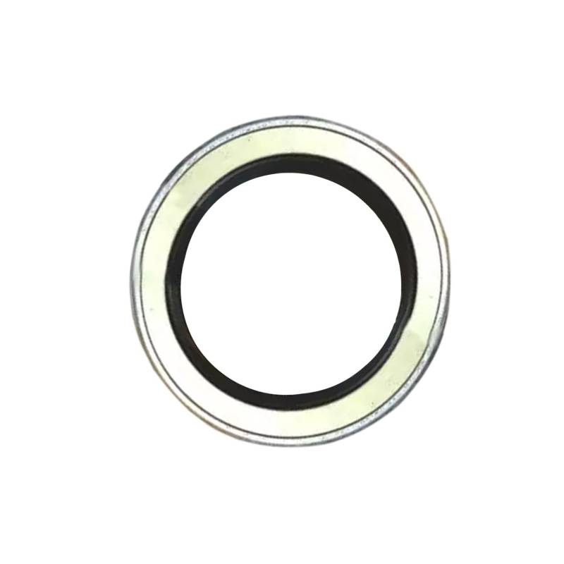 Quueparts Skelett Öldichtung AP0745H kompatibel mit NOK Hydraulikpumpenmotor von Quueparts