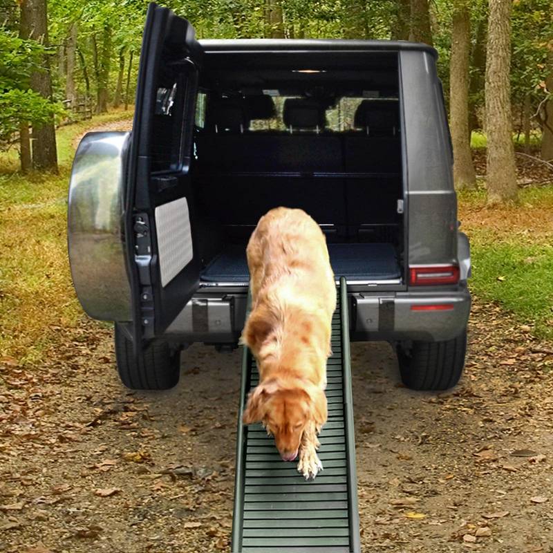 Auto Hunderampe Einstieghilfe Anti Rutsch klappbar Olivgrün 155x40cm bis 90Kg von RAMROXX