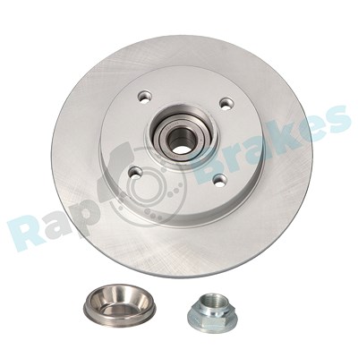 Rap Brakes Bremsscheibe [Hersteller-Nr. R-D0396C] für Citroën, Peugeot von RAP BRAKES