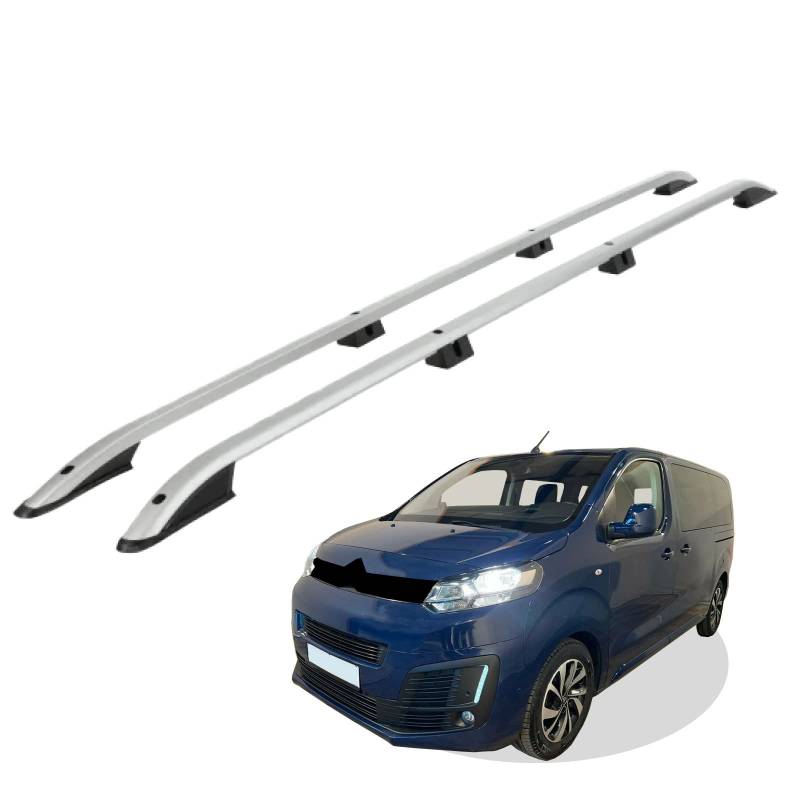 RC Royal Class Dachreling aus Aluminium eloxiert passend für Citroen SpaceTourer L2 mittel (MWB) Baujahr ab 2016 passgenau in Silber mit Allgemeiner Betriebserlaubnis (ABE) von RC Royal Class