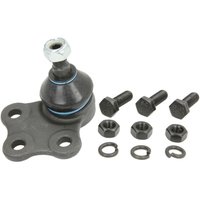 Traggelenk REINHOCH RH03-5003 von Reinhoch