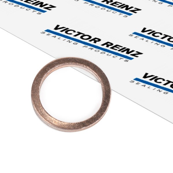 REINZ Dichtring Ölablaßschraube BMW,FIAT,MINI 41-70058-00 156220,234032233,07119963132 07119963133,746993,6561900703,007603012105 von REINZ