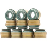 REINZ Dichtungssatz, Ventilschaft 12-25837-02  VW,AUDI,VOLVO,Transporter IV Bus (70B, 70C, 7DB, 7DK, 70J, 70K, 7DC, 7DJ) von REINZ