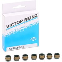 REINZ Dichtungssatz, Ventilschaft FPM (Fluor-Kautschuk) 12-26058-02  VW,AUDI,OPEL,Golf IV Schrägheck (1J1),Golf V Schrägheck (1K1),POLO (9N_) von REINZ