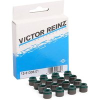 REINZ Dichtungssatz, Ventilschaft 12-31306-01  VW,AUDI,MERCEDES-BENZ,Golf IV Schrägheck (1J1),Golf V Schrägheck (1K1),TOURAN (1T1, 1T2) von REINZ