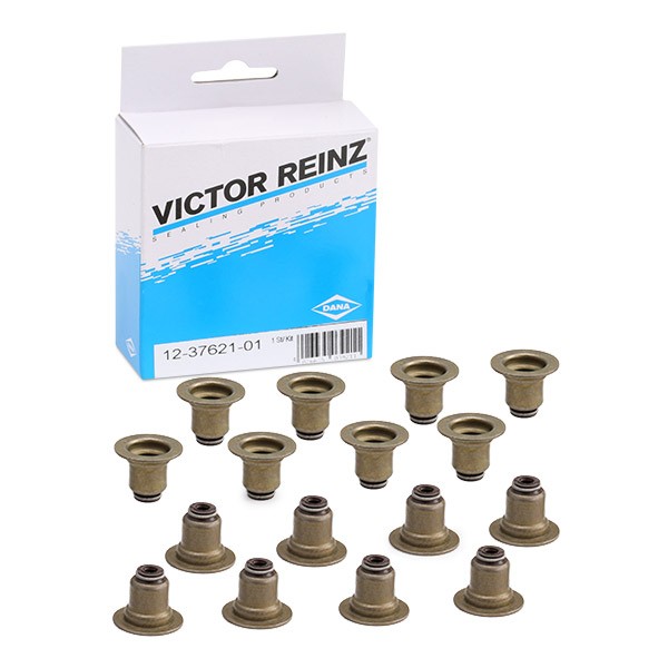 REINZ Dichtungssatz, Ventilschaft OPEL,BMW,PEUGEOT 12-37621-01 095660,1640098880,0033950 11340033950,3556077 REINZ Dichtungssatz, Ventilschaft OPEL,BMW,PEUGEOT 12-37621-01 095660,1640098880,0033950 11340033950,3556077 von REINZ