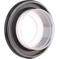 REINZ Kurbelwellendichtring PTFE (Polytetrafluorethylen) 81-36557-00 Radialwellendichtring,Simmerring OPEL,FORD,FIAT,GRANDLAND X (A18) REINZ Kurbelwellendichtring PTFE (Polytetrafluorethylen) 81-36557-00 Radialwellendichtring,Simmerring OPEL,FORD,FIAT,GRANDLAND X (A18) von REINZ