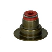 REINZ Ventilschaftdichtung 70-36613-00 Dichtring, Ventilschaft OPEL,FIAT,CHEVROLET,Corsa D Schrägheck (S07),ZAFIRA B (A05),INSIGNIA Caravan von REINZ