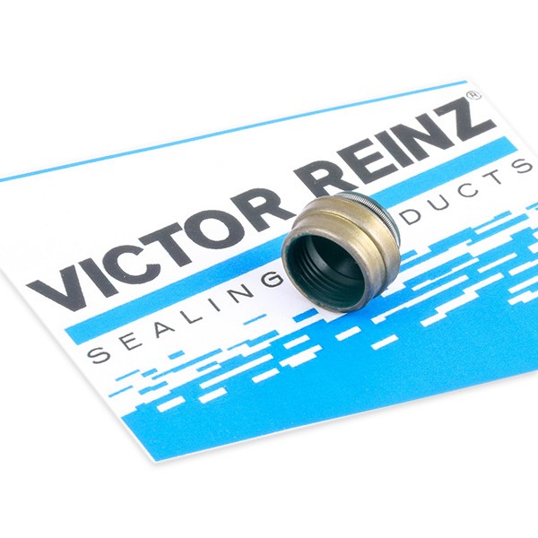 REINZ Ventilschaftdichtung VW,AUDI,OPEL 70-25837-00 35017755,095622,095618 Dichtring, Ventilschaft 026109675,7553637,21081007026,1291979J50,5930415 REINZ Ventilschaftdichtung VW,AUDI,OPEL 70-25837-00 35017755,095622,095618 Dichtring, Ventilschaft 026109675,7553637,21081007026,1291979J50,5930415 von REINZ