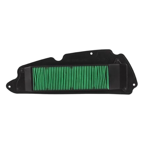 RIDE AND CUSTOM Luftfilter kompatibel mit Honda Forza 350 350 2020-2022 von RIDE AND CUSTOM