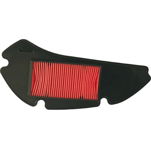 RIDE AND CUSTOM Luftfilter kompatibel mit Honda Pes 125 Ps I 125 2006-2013 von RIDE AND CUSTOM