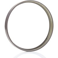 RIDEX ABS Ring mit integriertem magnetischen Sensorring 2254S0006 ABS Sensorring,Sensorring, ABS MERCEDES-BENZ,CHRYSLER,E-Klasse Limousine (W211) von RIDEX