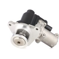 RIDEX AGR-Ventil Steuerventil 1145E0170 Abgasrückführungsventil,Abgasrückführung HYUNDAI,KIA,ix35 (LM, EL, ELH),SANTA FÉ II (CM),Santa Fé III (DM) von RIDEX