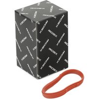 RIDEX Ansaugkrümmerdichtung Gummi 42G0100 Ansaugdichtung,Dichtung, Ansaugkrümmer BMW,3 Cabrio (E36),3 Limousine (E36),3 Coupe (E36),5 Limousine (E34) von RIDEX