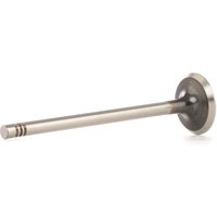 RIDEX Auslaßventil 1270O0019 OPEL,CHEVROLET,VAUXHALL,Corsa C Schrägheck (X01),Meriva A (X03),Astra G CC (T98),Zafira A (T98),Vectra C Caravan (Z02) RIDEX Auslaßventil 1270O0019 OPEL,CHEVROLET,VAUXHALL,Corsa C Schrägheck (X01),Meriva A (X03),Astra G CC (T98),Zafira A (T98),Vectra C Caravan (Z02) von RIDEX