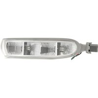 RIDEX Blinker Außenspiegel 62I0055 Blinklicht,Fahrtrichtungsanzeiger MERCEDES-BENZ,VIANO (W639),CLK (C209),SL (R230),CLK Cabriolet (A209) von RIDEX