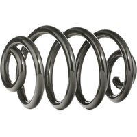 RIDEX Fahrwerksfeder Hinterachse 188C0011 Federn,Fahrwerksfedern BMW,3 Limousine (E46),3 Touring (E46),3 Cabrio (E46),3 Compact (E46) von RIDEX