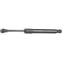 RIDEX Heckklappendämpfer Fahrzeugheckklappe 219G0755 Kofferraum Dämpfer,Gasfeder Heckklappe FORD,FOCUS Stufenheck (DFW),Focus Mk1 Kasten / Kombi (DNW) RIDEX Heckklappendämpfer Fahrzeugheckklappe 219G0755 Kofferraum Dämpfer,Gasfeder Heckklappe FORD,FOCUS Stufenheck (DFW),Focus Mk1 Kasten / Kombi (DNW) von RIDEX