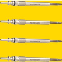 RIDEX Glühkerze Spannung: 11V 243G0147 Glühkerzen,Glühstifte BMW,OPEL,KIA,7 (E38),Astra G CC (T98),Zafira A (T98),Astra G Caravan (T98),VECTRA B (36_) RIDEX Glühkerze Spannung: 11V 243G0147 Glühkerzen,Glühstifte BMW,OPEL,KIA,7 (E38),Astra G CC (T98),Zafira A (T98),Astra G Caravan (T98),VECTRA B (36_) von RIDEX
