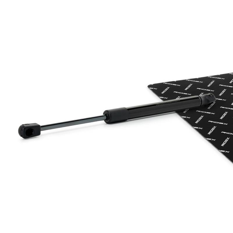 RIDEX Heckklappendämpfer MINI 219G1495 51247348917,7348917 von RIDEX