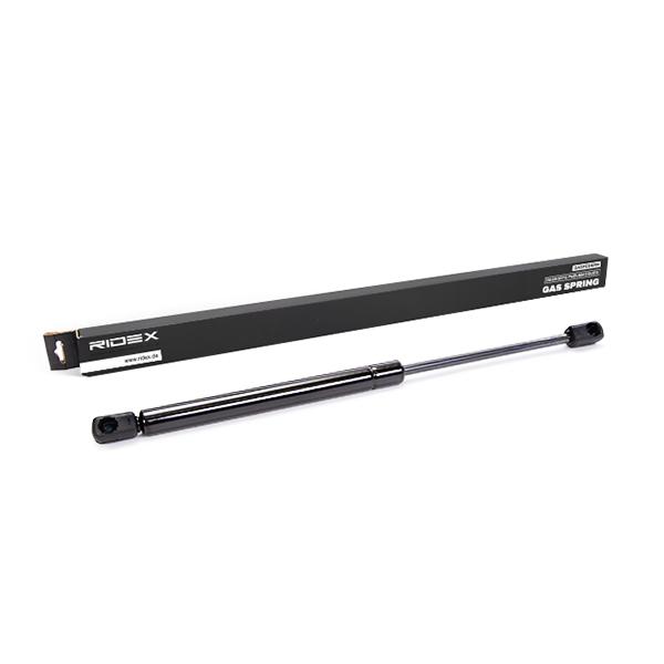 RIDEX Heckklappendämpfer PEUGEOT 219G0019 8731J6,9647487680 RIDEX Heckklappendämpfer PEUGEOT 219G0019 8731J6,9647487680 von RIDEX