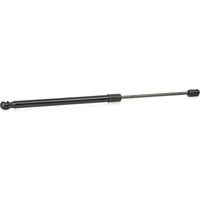 RIDEX Heckklappendämpfer beidseitig 219G0955 Kofferraum Dämpfer,Gasfeder Heckklappe AUDI,A6 Avant (4F5, C6),A6 Allroad (4FH, C6) von RIDEX