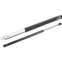 RIDEX Heckklappendämpfer hinten 219G0427 Kofferraum Dämpfer,Gasfeder Heckklappe FORD,Fiesta Mk5 Schrägheck (JH1, JD1, JH3, JD3) von RIDEX