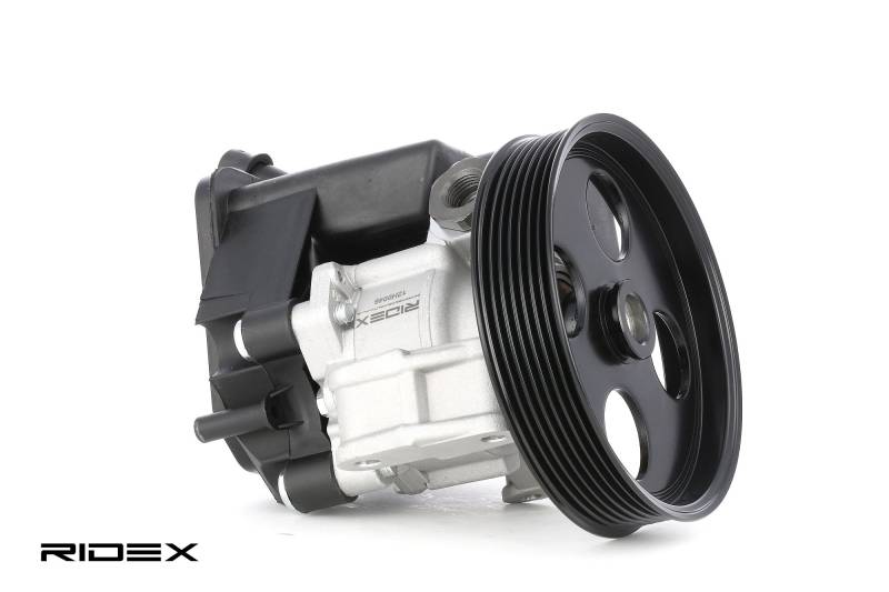 RIDEX Hydraulikpumpe MERCEDES-BENZ 12H0046 0034664001,0034664101,0034664301 34664001,34664101,34664201,0034664201,34664301,A0034664001,A0034664101 von RIDEX