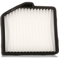 RIDEX Innenraumfilter Partikelfilter 424I0179 Filter, Innenraumluft,Pollenfilter HYUNDAI,H-1 Travel (TQ),H-1 / Starex MPV (A1),H-1 Kastenwagen (A1) von RIDEX