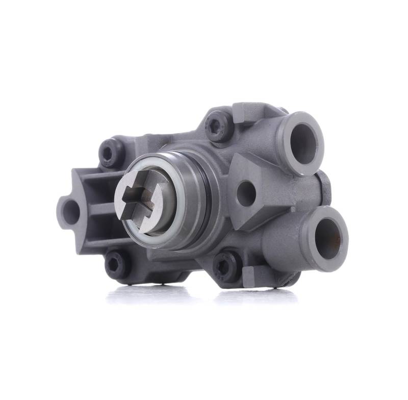 RIDEX 1382F0121 KRAFTSTOFFFÖRDEREINHEIT KRAFTSTOFFPUMPE von RIDEX