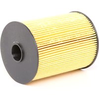 RIDEX Kraftstofffilter Filtereinsatz 9F0026 Leitungsfilter,Spritfilter MINI,Schrägheck (R56),Clubman (R55),Cabrio (R57),Roadster (R59),Coupe (R58) RIDEX Kraftstofffilter Filtereinsatz 9F0026 Leitungsfilter,Spritfilter MINI,Schrägheck (R56),Clubman (R55),Cabrio (R57),Roadster (R59),Coupe (R58) von RIDEX