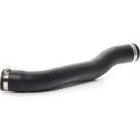 RIDEX Ladeluftschlauch Eingang 3314C0011 ALFA ROMEO,147 (937),159 (939),156 Sportwagon (932),GT (937),156 (932) RIDEX Ladeluftschlauch Eingang 3314C0011 ALFA ROMEO,147 (937),159 (939),156 Sportwagon (932),GT (937),156 (932) von RIDEX