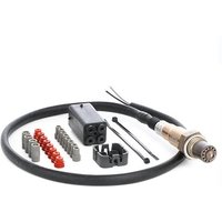 RIDEX Lambdasonde 3922L0229 Regelsonde,Lambda Sensor VW,AUDI,MERCEDES-BENZ,Golf IV Schrägheck (1J1),Golf V Schrägheck (1K1),POLO (9N_) von RIDEX