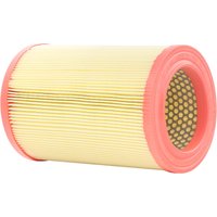 RIDEX Luftfilter Zentrifuge 8A0391 Motorluftfilter,Filter für Luft ALFA ROMEO,GIULIETTA (940),Giulietta Kastenwagen (940_) von RIDEX