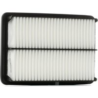 RIDEX Luftfilter Umluftfilter 8A0432 Motorluftfilter,Filter für Luft HYUNDAI,H-1 Travel (TQ),H-1 Cargo (TQ),H-1 / Starex MPV (A1) von RIDEX