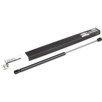 RIDEX Motorhaubendämpfer Ausschubkraft: 240N 514G0060 Haubendämpfer,Gasfeder, Motorhaube SAAB,9-3 (YS3D),9-3 Cabriolet (YS3D),900 II Cabriolet,900 II RIDEX Motorhaubendämpfer Ausschubkraft: 240N 514G0060 Haubendämpfer,Gasfeder, Motorhaube SAAB,9-3 (YS3D),9-3 Cabriolet (YS3D),900 II Cabriolet,900 II von RIDEX